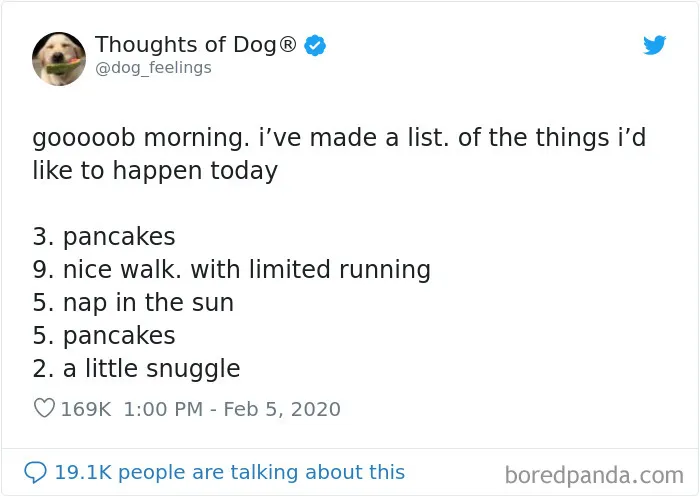 30 Of The Funniest Dog Thoughts That Dog Owners Understand Too Well (New Pics)