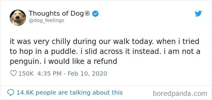 30 Of The Funniest Dog Thoughts That Dog Owners Understand Too Well (New Pics)