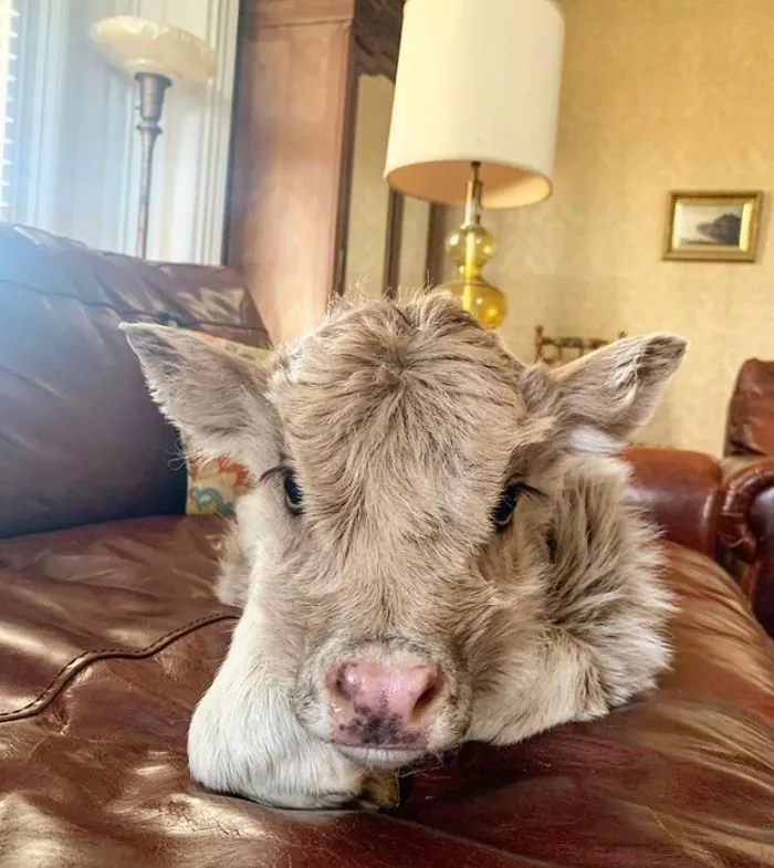 16th February 2020