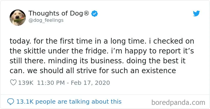 30 Of The Funniest Dog Thoughts That Dog Owners Understand Too Well (New Pics)