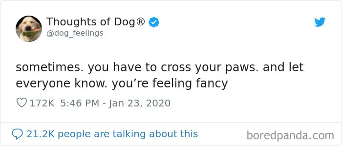 30 Of The Funniest Dog Thoughts That Dog Owners Understand Too Well (New Pics)