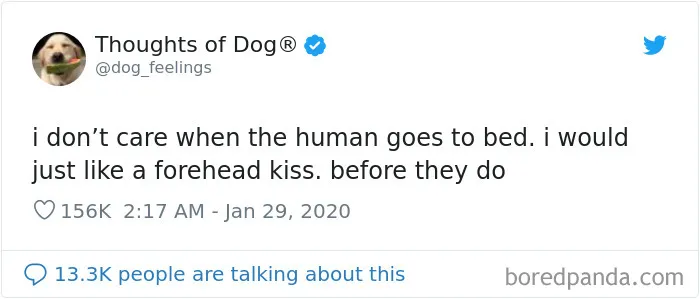 30 Of The Funniest Dog Thoughts That Dog Owners Understand Too Well (New Pics)