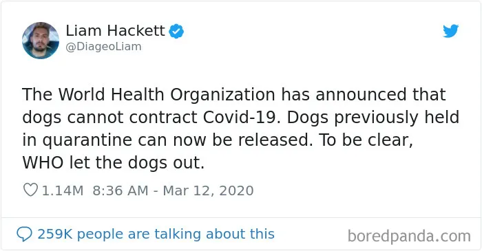Great News