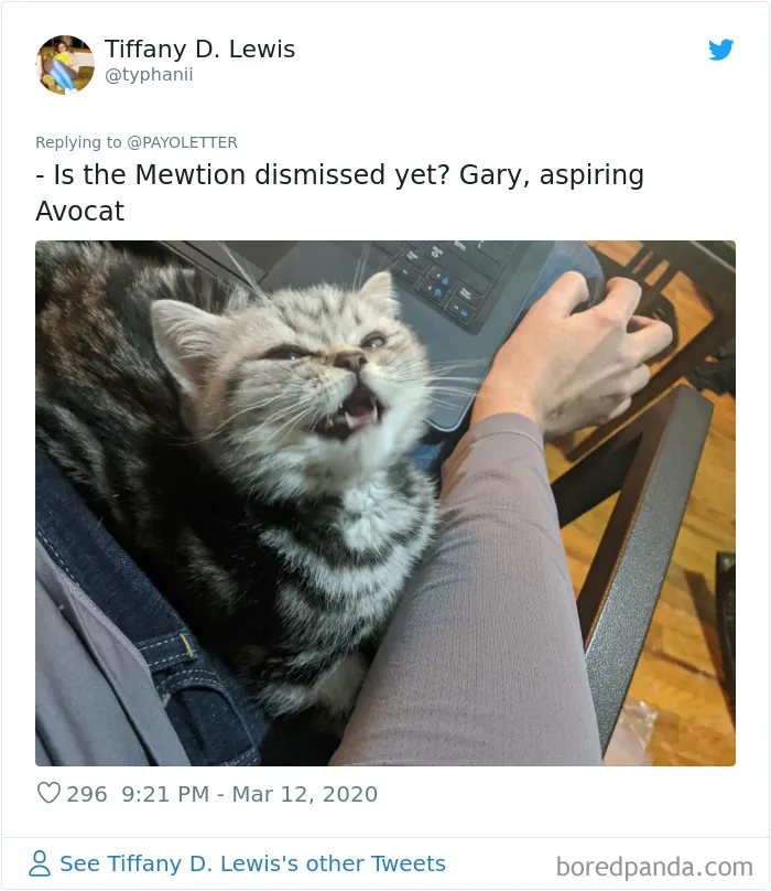 People Are Sharing How Their Pets Deal With Them Working From Home (40 Tweets)