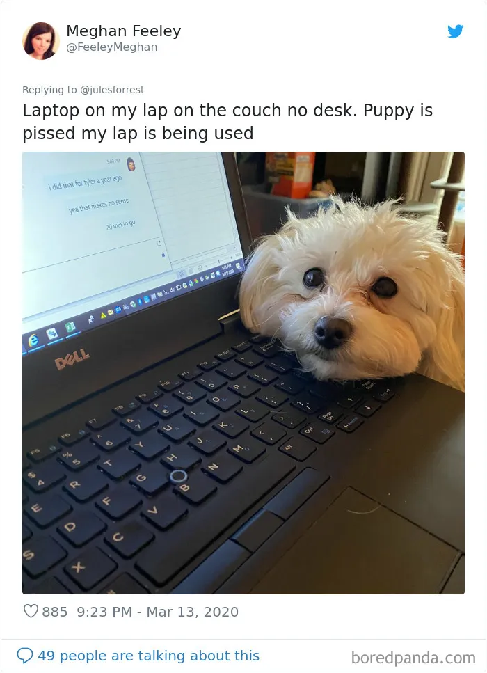 People Sick Of Seeing Glamorous Workspace Setups Share Their Reality Of Working From Home (30 Pics)