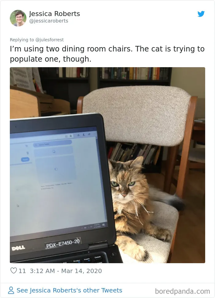 People Sick Of Seeing Glamorous Workspace Setups Share Their Reality Of Working From Home (30 Pics)