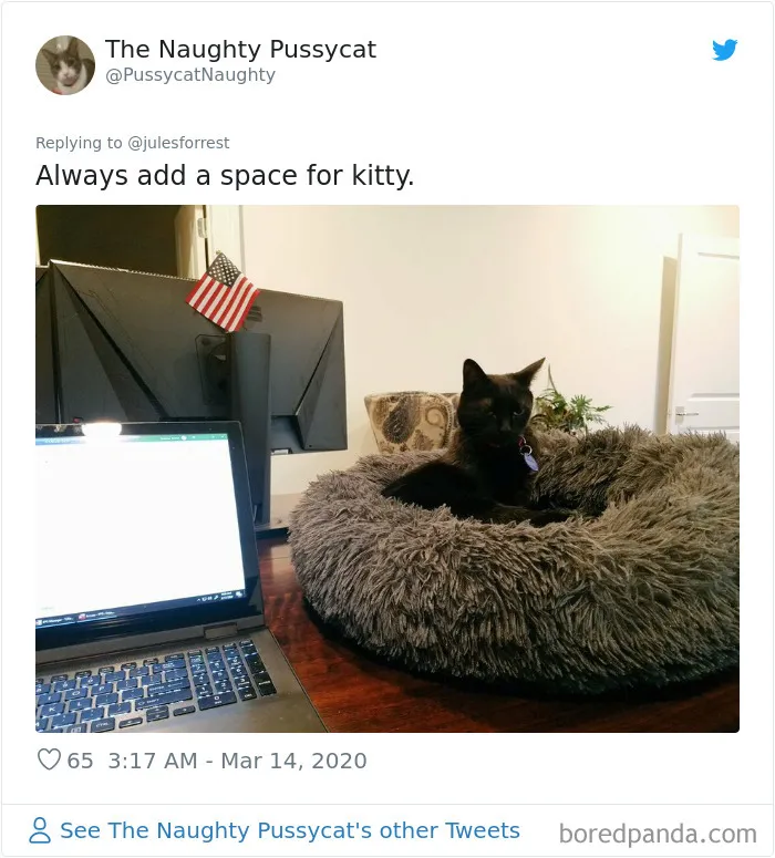 People Sick Of Seeing Glamorous Workspace Setups Share Their Reality Of Working From Home (30 Pics)