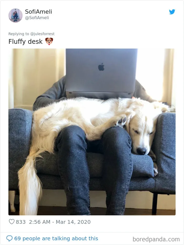 People Sick Of Seeing Glamorous Workspace Setups Share Their Reality Of Working From Home (30 Pics)