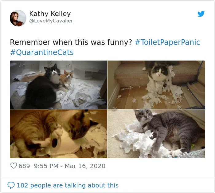 People Are Sharing Photos Of Their Cats In Quarantine And Here Are 32 Of The Best Ones