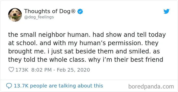 30 Of The Funniest Dog Thoughts That Dog Owners Understand Too Well (New Pics)