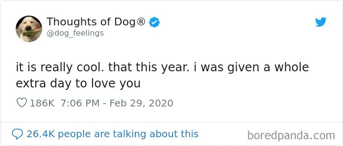 30 Of The Funniest Dog Thoughts That Dog Owners Understand Too Well (New Pics)