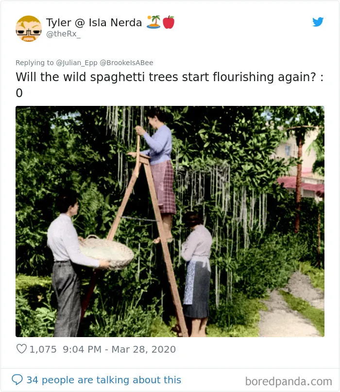 30 Funny Posts Of "Wildlife Returning' To Nature As Humans Are Forced To Quarantine