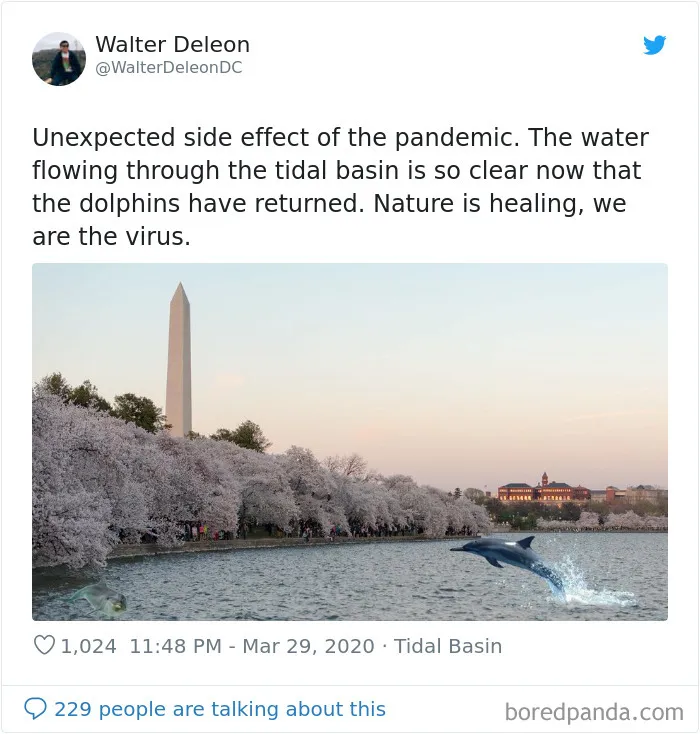 30 Funny Posts Of "Wildlife Returning' To Nature As Humans Are Forced To Quarantine