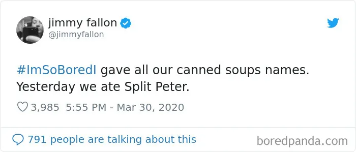 Jimmy Fallon Asked What People Are Doing While Bored In Quarantine And Here Are 30 Of The Funniest Answers