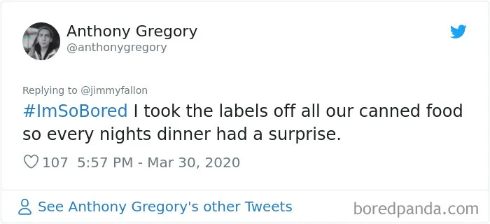 Jimmy Fallon Asked What People Are Doing While Bored In Quarantine And Here Are 30 Of The Funniest Answers