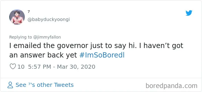 Jimmy Fallon Asked What People Are Doing While Bored In Quarantine And Here Are 30 Of The Funniest Answers
