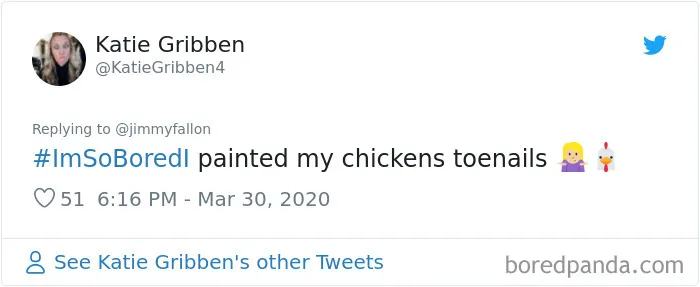 Jimmy Fallon Asked What People Are Doing While Bored In Quarantine And Here Are 30 Of The Funniest Answers