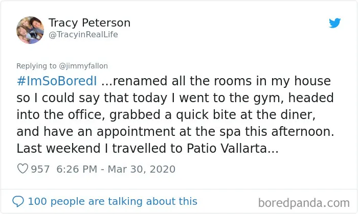 Jimmy Fallon Asked What People Are Doing While Bored In Quarantine And Here Are 30 Of The Funniest Answers