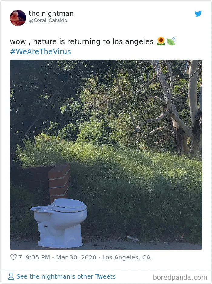 30 Funny Posts Of "Wildlife Returning' To Nature As Humans Are Forced To Quarantine