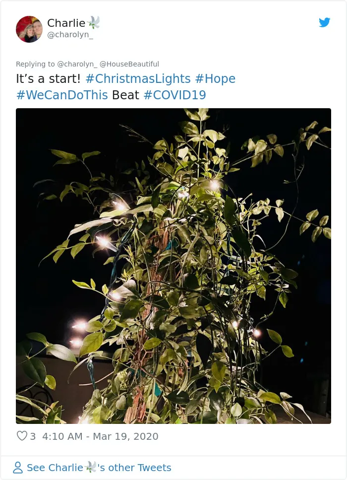 People Start Putting Their Christmas Lights Back Up, Take Social Distancing To The Next Level (23 Pics)