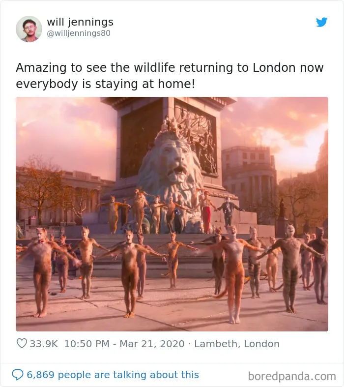 30 Funny Posts Of "Wildlife Returning' To Nature As Humans Are Forced To Quarantine