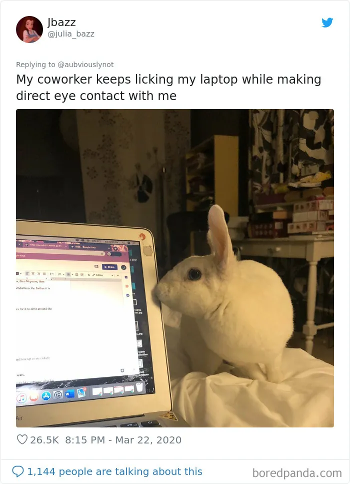 30 Funny "Co-Worker" Updates From People Working From Home