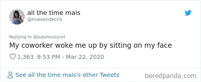 30 Funny "Co-Worker" Updates From People Working From Home