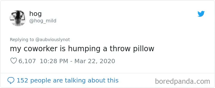 30 Funny "Co-Worker" Updates From People Working From Home
