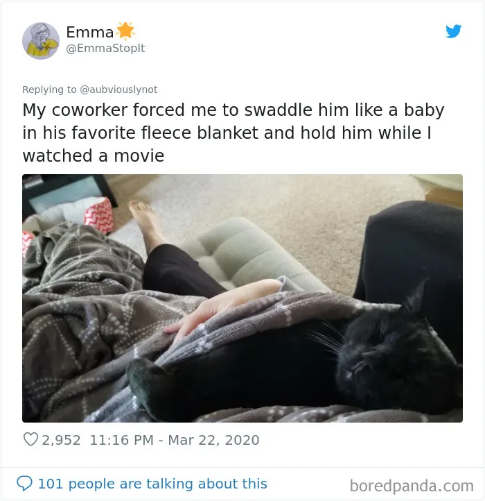 30 Funny "Co-Worker" Updates From People Working From Home
