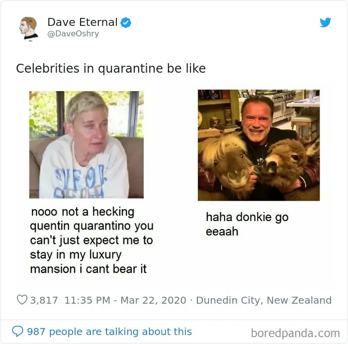Celebrities Have Never Been More Annoying: People Are Roasting Their Quarantine Content With Memes (27 Pics)