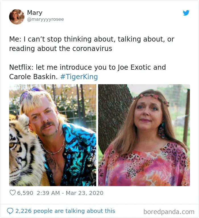 30 Best Memes Inspired By The Tiger King