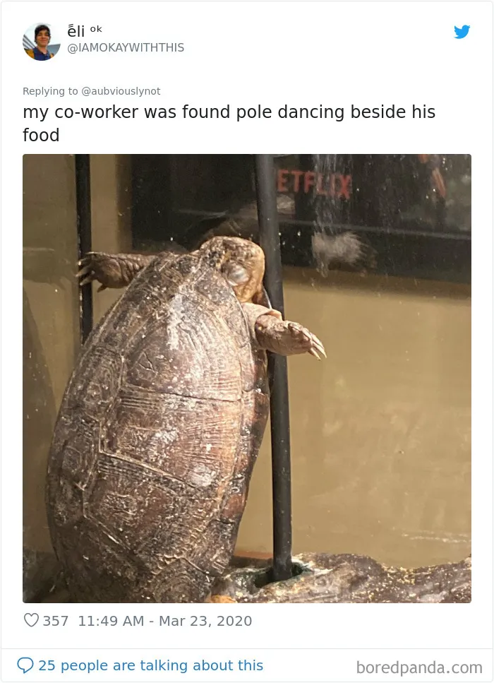 30 Funny "Co-Worker" Updates From People Working From Home