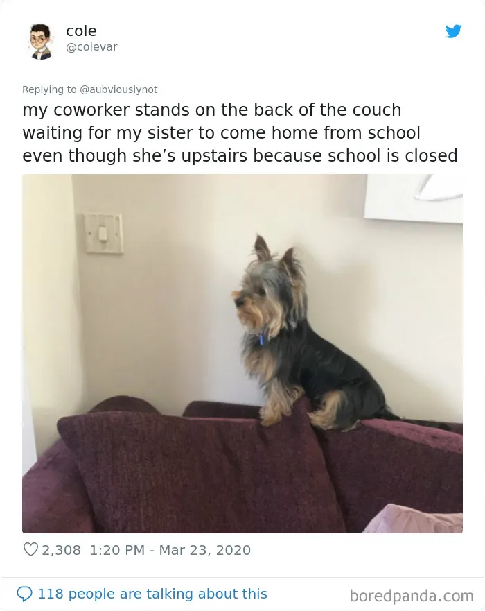 30 Funny "Co-Worker" Updates From People Working From Home