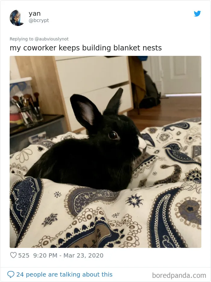 30 Funny "Co-Worker" Updates From People Working From Home