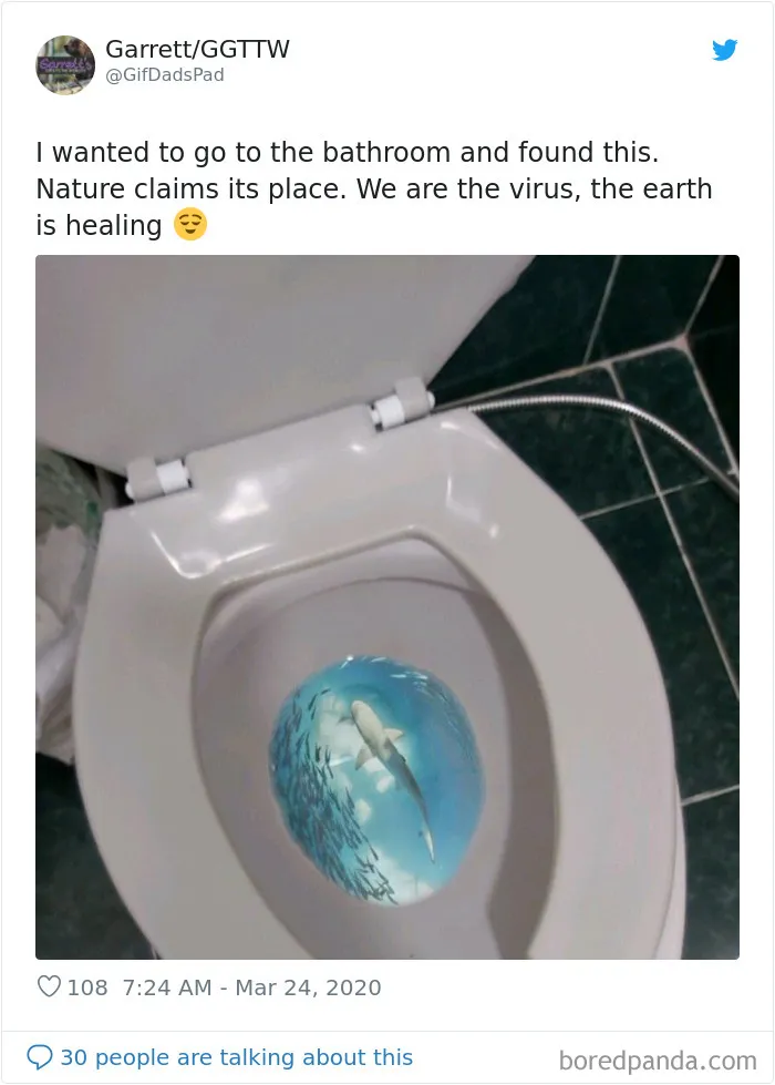 30 Funny Posts Of "Wildlife Returning' To Nature As Humans Are Forced To Quarantine