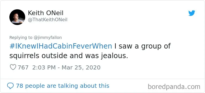 Jimmy Fallon Asks Quarantined People To Share The Exact Moment They Knew They'd Gone A Bit Crazy From The Isolation (30 Pics)