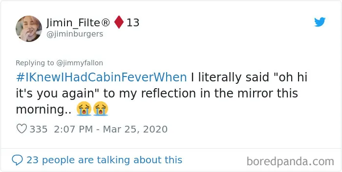 Jimmy Fallon Asks Quarantined People To Share The Exact Moment They Knew They'd Gone A Bit Crazy From The Isolation (30 Pics)