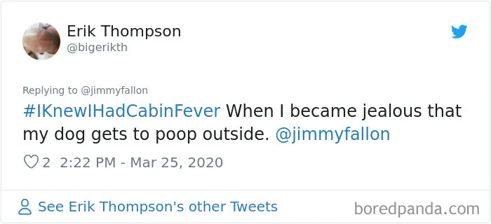 Jimmy Fallon Asks Quarantined People To Share The Exact Moment They Knew They'd Gone A Bit Crazy From The Isolation (30 Pics)