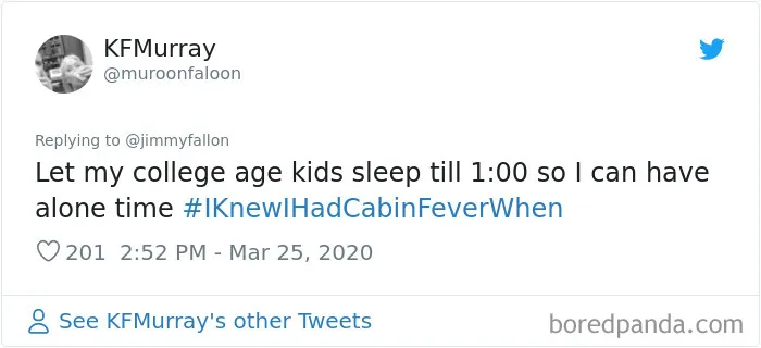 Jimmy Fallon Asks Quarantined People To Share The Exact Moment They Knew They'd Gone A Bit Crazy From The Isolation (30 Pics)