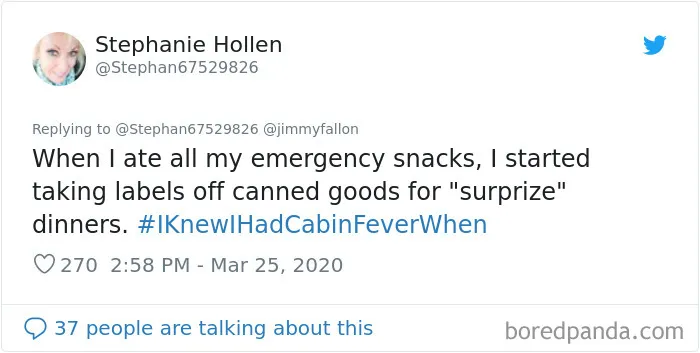 Jimmy Fallon Asks Quarantined People To Share The Exact Moment They Knew They'd Gone A Bit Crazy From The Isolation (30 Pics)