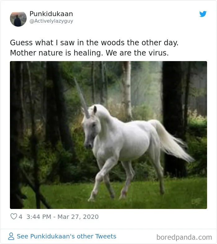 30 Funny Posts Of "Wildlife Returning' To Nature As Humans Are Forced To Quarantine
