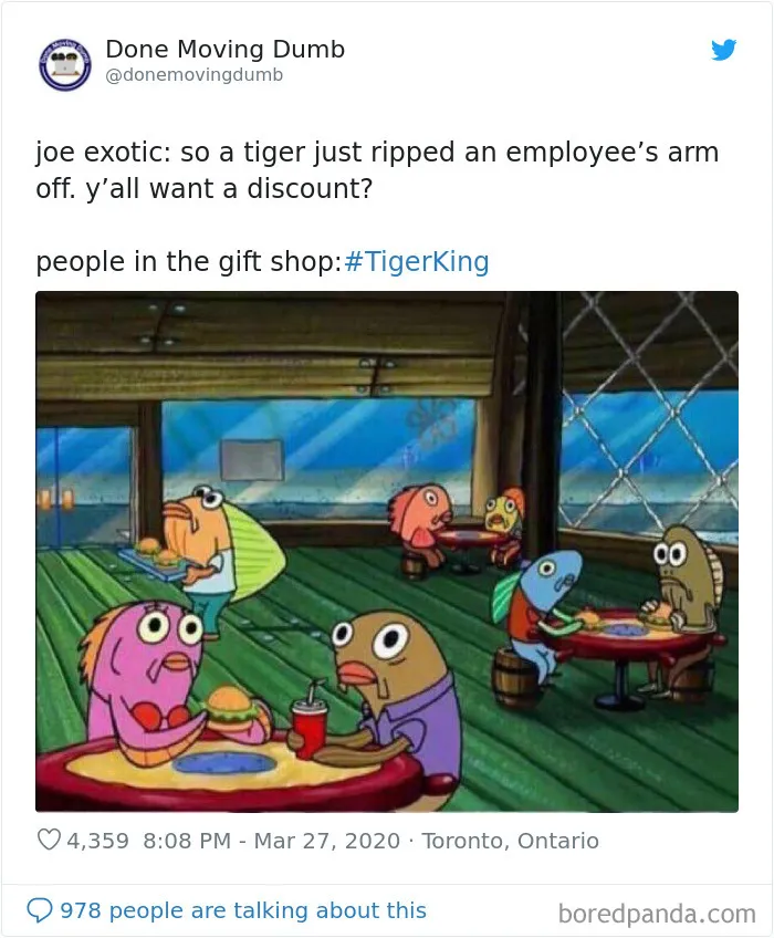 30 Best Memes Inspired By The Tiger King