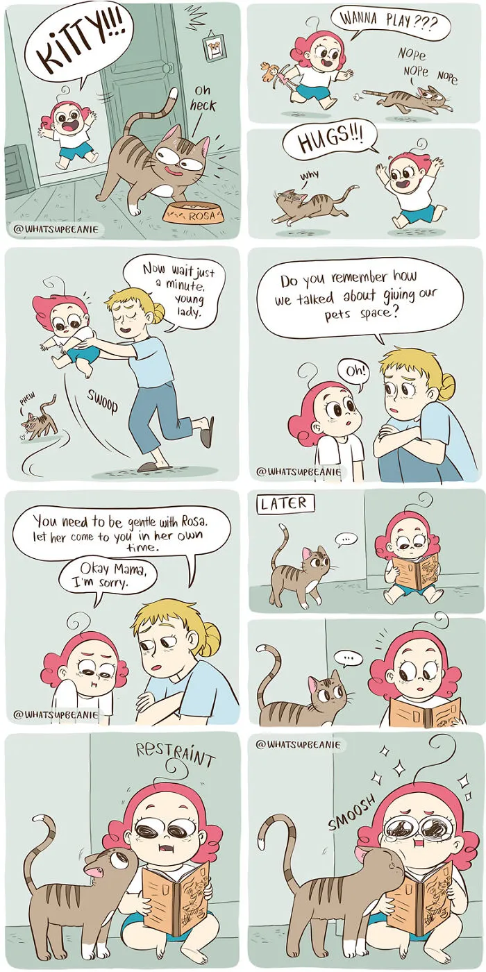 Cat Friend