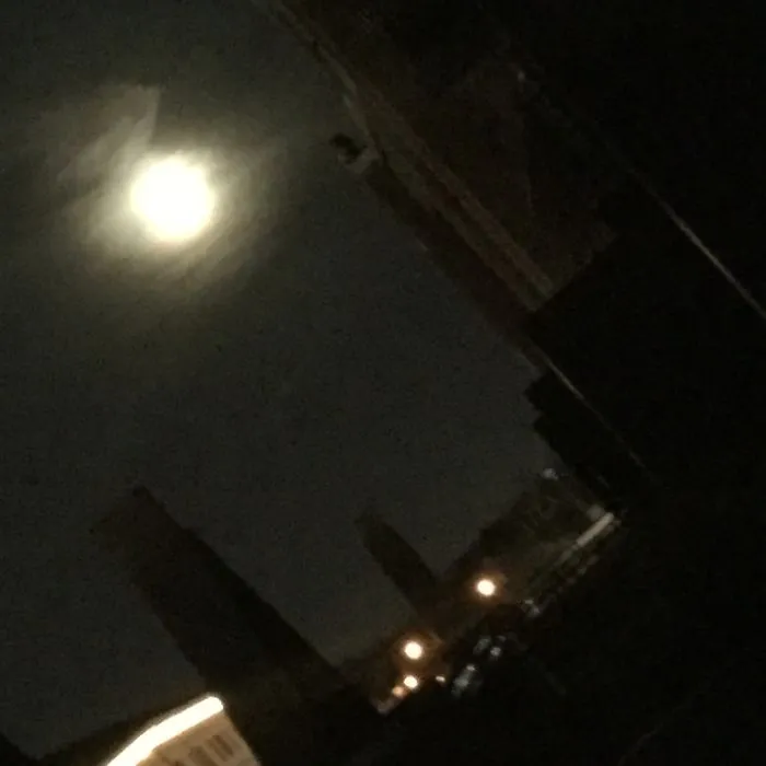 Dallas On A Full Moon