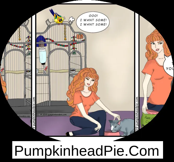 Wife, Husband, Parrot Create Comic Together