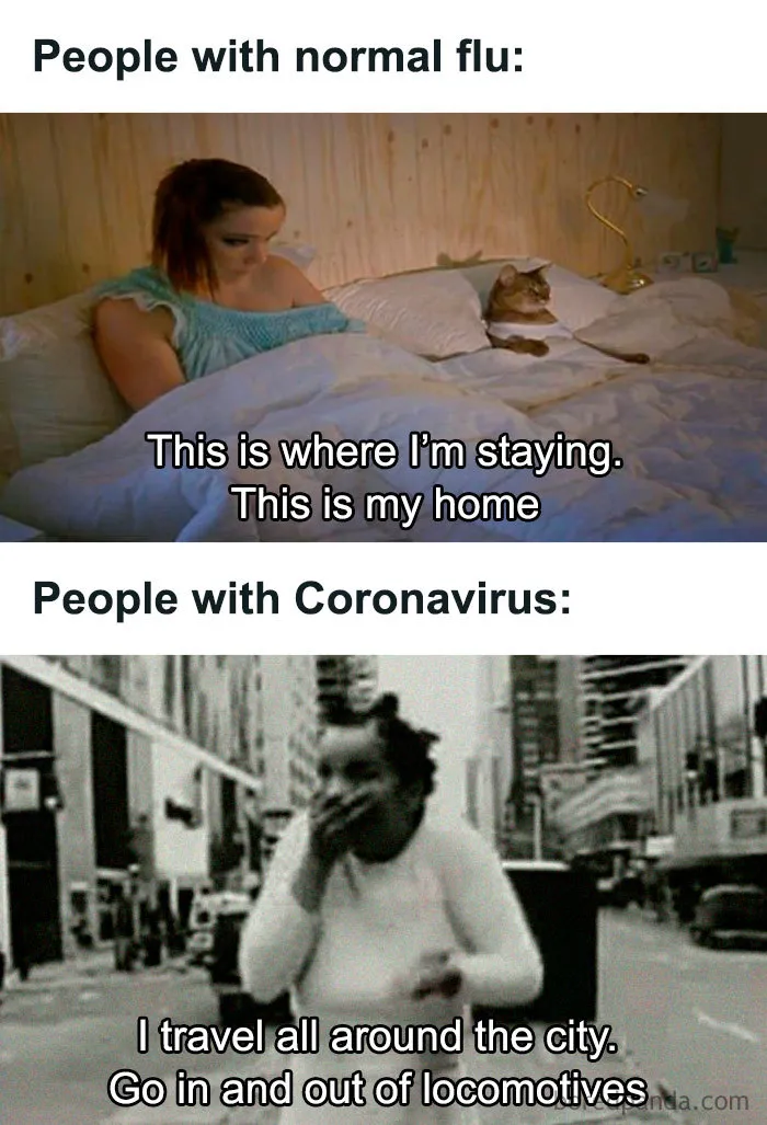 30 Memes Roasting Inconsiderate People Who Catch Cheap Flights During Coronavirus Outbreak