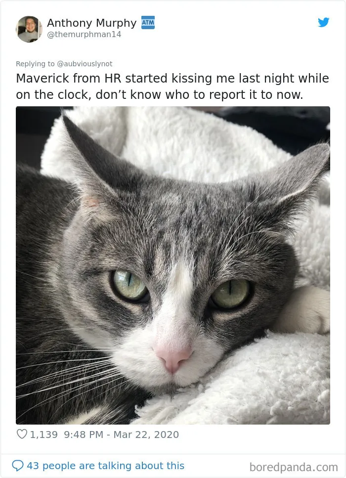 30 Funny "Co-Worker" Updates From People Working From Home