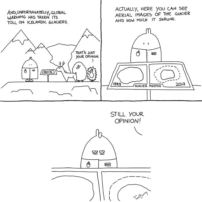 Opinion