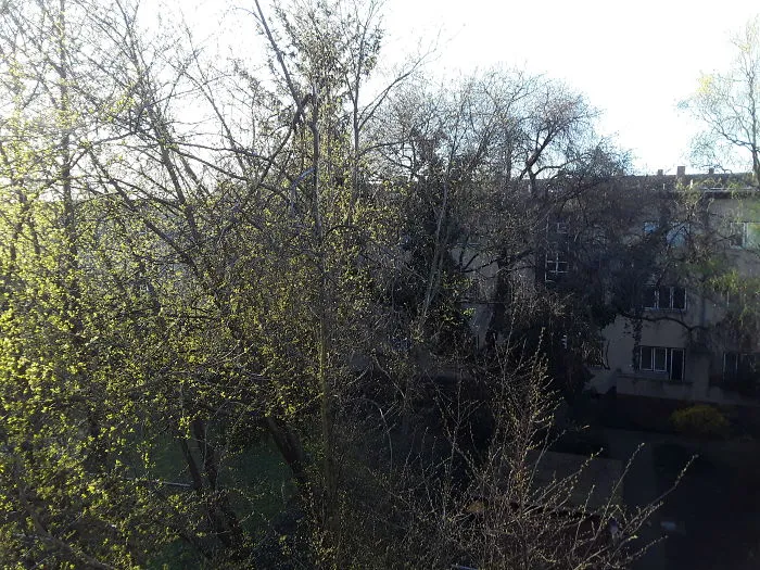 Berlin, Germany (Bedroom Window)
