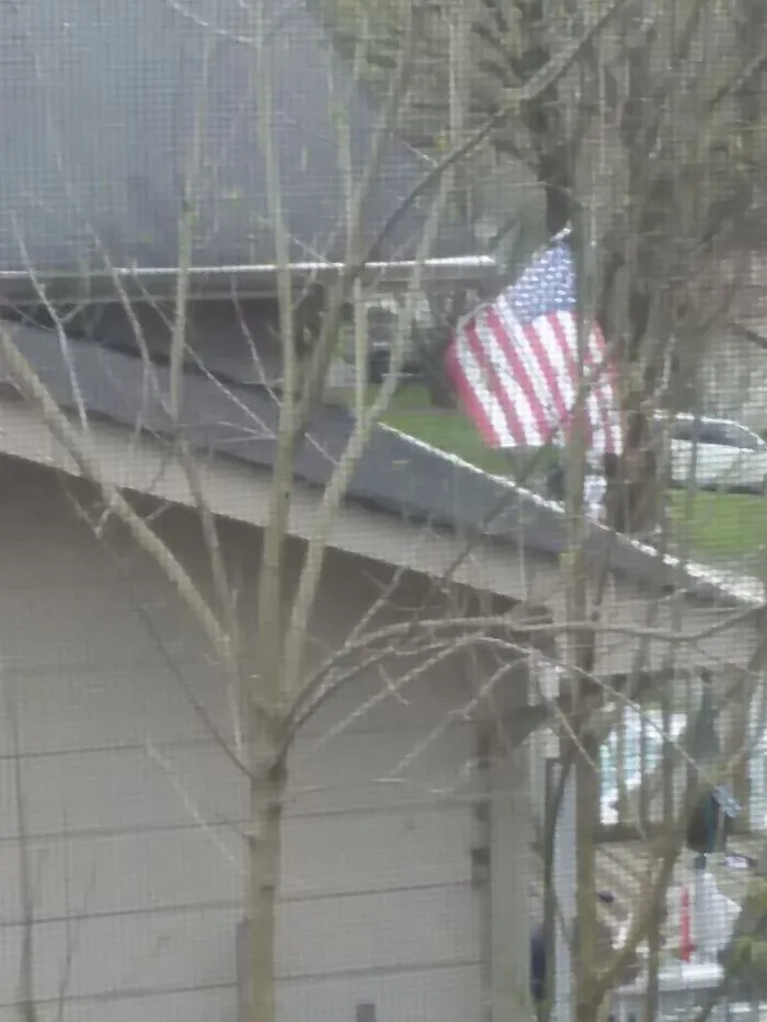 We Have 9 Windows And It Feels Like A Treehouse But I Am Still Reminded That We Are One Nation , Under God, Indivisible, With Liberty And Justice For All.